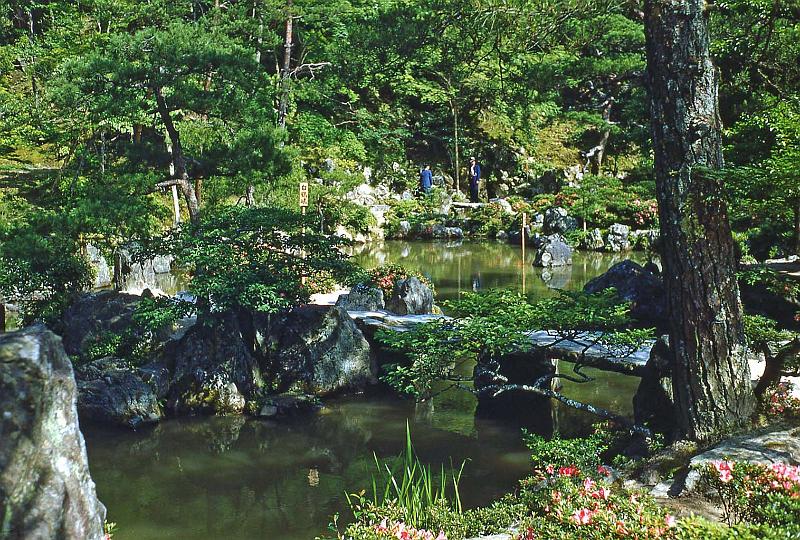1952-53 Japan 194 A Garden.jpg